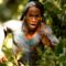 مشاهدة فيلم Apocalypto 2006 مترجم ماي سيما