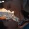 مسلسل La ultima الموسم الاول الحلقة 5 الخامسة والاخيرة مترجم