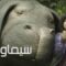 مشاهدة فيلم Okja 2017 مترجم